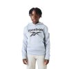 Reebok Boys Hoodies Soft Fleece Sporty Flair-2