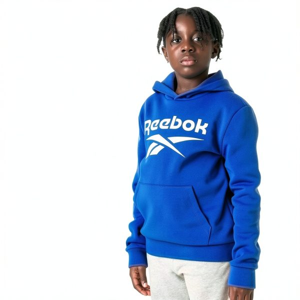 Reebok Boys Hoodies Soft Fleece Sporty Flair-3